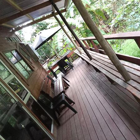 Yellowwood Forest Eco Retreat خليج مورغانرز المظهر الخارجي الصورة