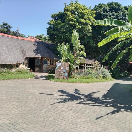 Yellowwood Forest Eco Retreat خليج مورغانرز المظهر الخارجي الصورة