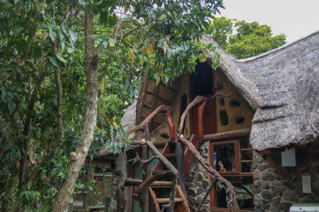 Yellowwood Forest Eco Retreat خليج مورغانرز المظهر الخارجي الصورة