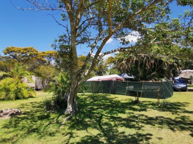Yellowwood Forest Eco Retreat خليج مورغانرز المظهر الخارجي الصورة